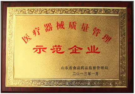 山东大香蕉9L视频网站医疗器械质量管理示范企业荣誉证书